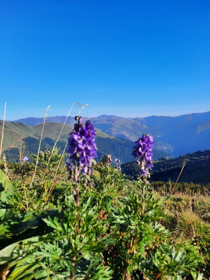 Plein Sud Leilighet Saint-Aventin Eksteriør bilde