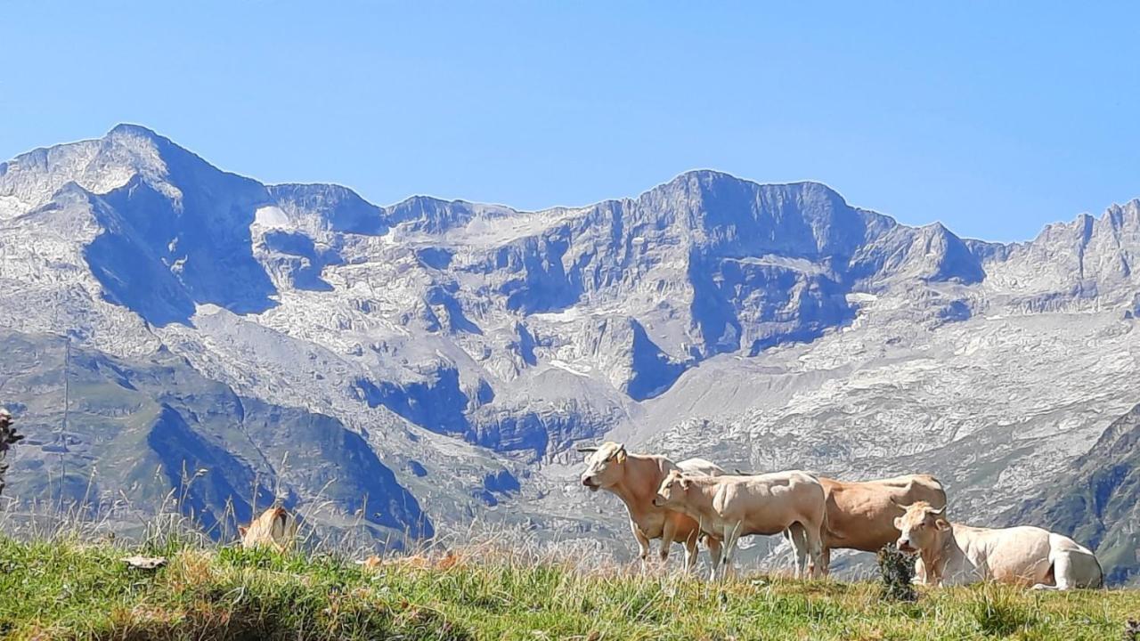 Plein Sud Leilighet Saint-Aventin Eksteriør bilde